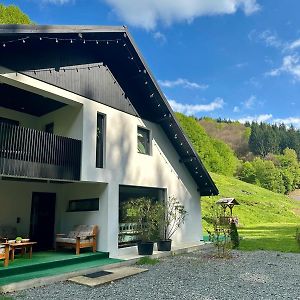 Lighet House Maramures Villa Tirgu Lapus Exterior photo