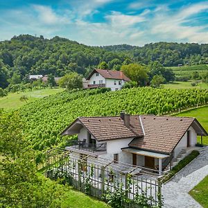 Vineyard Cottage Radovlja With Sauna - Happy Rentals Smarjeske Toplice Exterior photo