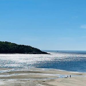 Pavillon De Jardin Neuf Baie De Tadoussac Clim Parking - 2 Chambres Exterior photo