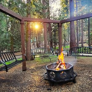 Sequoia Splendor, Inside Kings Canyon Np By Visitors Center Wilsonia Exterior photo