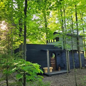 Black Pine Tree House Acton Exterior photo