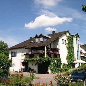 Weingut Geiler - Neucastell Apartment Ilbesheim bei Landau in der Pfalz Exterior photo