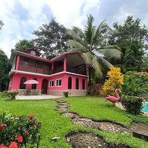 Casa Flamingo Villa Castillo de San Felipe Exterior photo