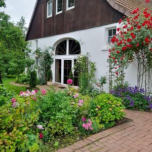 Gaestehaus Alte Liebe Hotel Borgholzhausen Exterior photo