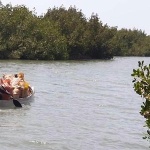 Mangrove Beach Bed & Breakfast Sanyang Exterior photo