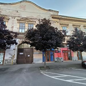 Casa Heidi Hotel Timisoara Exterior photo