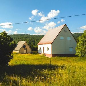 House Duzi Villa Savnik Exterior photo