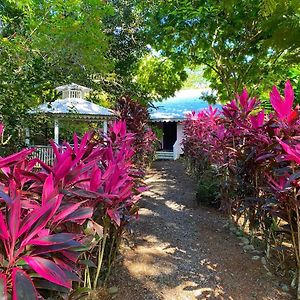 Calypso Cabana Villa Cahuita Exterior photo