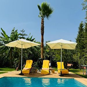 Ilafe Farmhouse, Villa Avec Piscine Chauffee Privee Et Jacuzzi Pour Familles Marrakesh Exterior photo