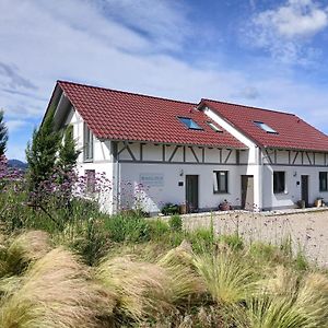 Binzighof Ferienhaeuser Villa Oberkirch  Exterior photo