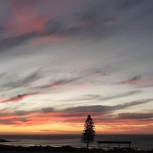 Studio South Port - Lush Private Oceanfront Studio Apartment Port Noarlunga South Exterior photo