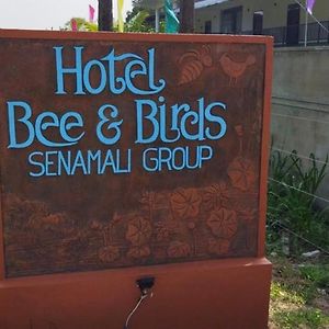 Bee And Birds Hotel Polonnaruwa Exterior photo