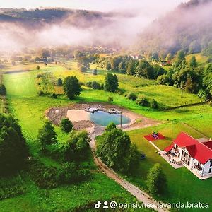 Pensiunea Lavanda Hotel Bratca Exterior photo