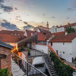 Vinarstvi Silova Apartment Mikulov Exterior photo