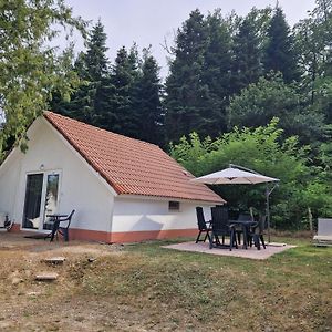 Mon Chalet En Ariege Avec Piscine Villa Daumazan-sur-Arize Exterior photo