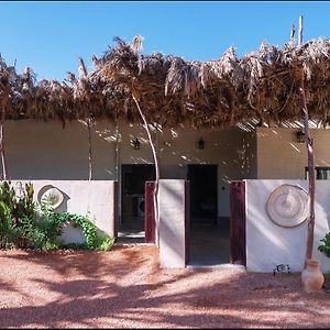 Under Las Palms Alula Hotel Madain Saleh Exterior photo