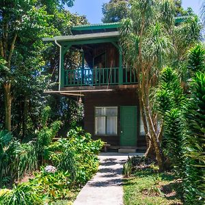 Rustic Treehouse Monteverde Apartment Exterior photo