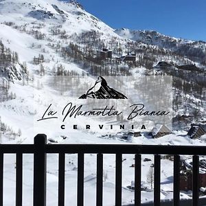 La Marmotta Bianca Ski In Out Apartment Breuil-Cervinia Exterior photo