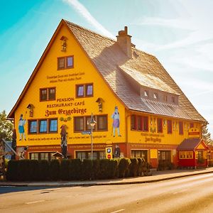 Pension Zum Erzgebirge Altenberg Exterior photo