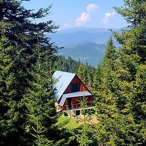 Არწივის Ბუდე Eagle'S Nest Villa Goderdzi Exterior photo