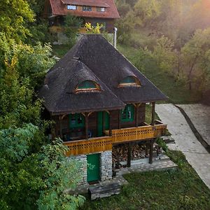 La Sat - Mandra Ioana Villa Bertea Exterior photo