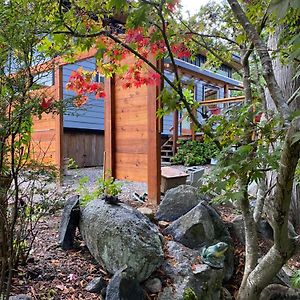 Little Cabin In Middlepoint Guest House Halfmoon Bay Exterior photo