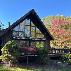 The Cabin At Deep Hollow Villa Narrowsburg Exterior photo