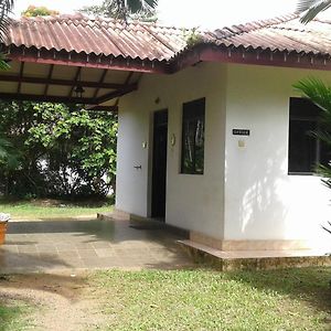 Sesta Holiday Resort Horana Exterior photo