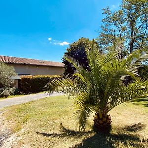 Domaine De Canteloup Au Coeur Des Vignes Avec Piscine Hotel Saint-Caprais-de-Bordeaux Exterior photo