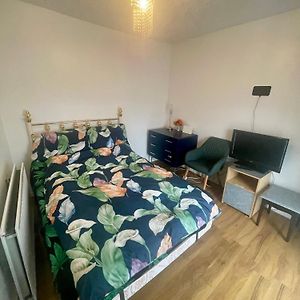 Elegant Single-Occupancy Double Bed Room Morriston Exterior photo