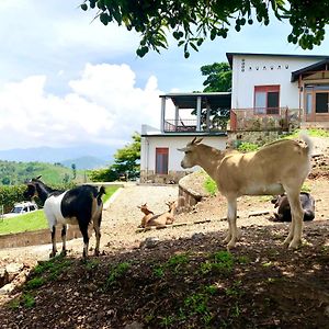 Amazi Land Home And Farm Stay Kibuye Exterior photo