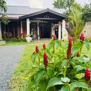 Nivartana Villa And Purana Ayurveda Center Bentota Exterior photo