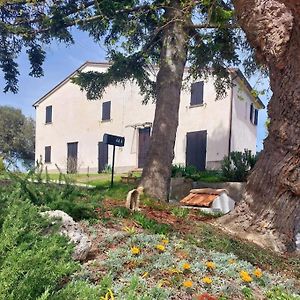 Grazioso Cottage Di Campagna Serra San Quirico Exterior photo