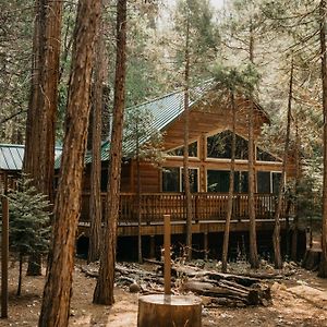 Peace Of Mine - Cabin Inside Yosemite - Pet Friendly Villa Wawona Exterior photo