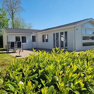 Chalet Near The Golf Course On A Holiday Park Villa Velsen-Zuid Exterior photo