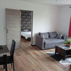 T3, 2 Chambres Avec Parking Prive Aurillac Exterior photo