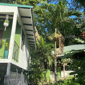 Luxury Jungle On A Budget Wisdom Bnb Bed & Breakfast Puerto Carrillo Exterior photo