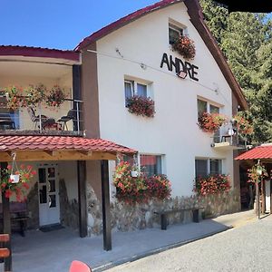 Cabana Andre Vartop Hotel Exterior photo