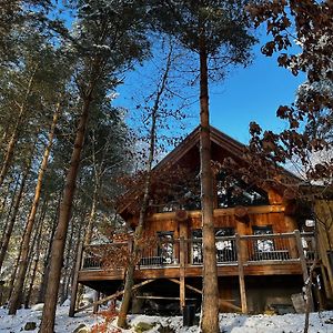 Pine Marten Lodge Grantown-on-Spey Exterior photo