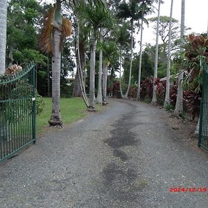 Emerald Tropical Palms B & B Emerald Beach Exterior photo