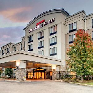 Springhill Suites By Marriott Wheeling Triadelphia Area Exterior photo