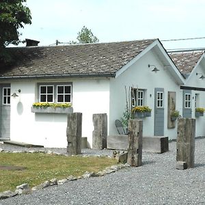 Les Chambres Du Vivier, Chambres D'Hotes Et Gite - A 100M - Durbuy Exterior photo