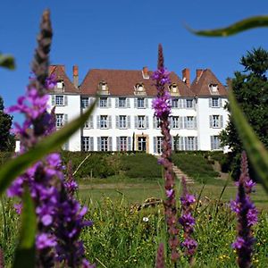 Chateau De Matel Bed & Breakfast Roanne Exterior photo