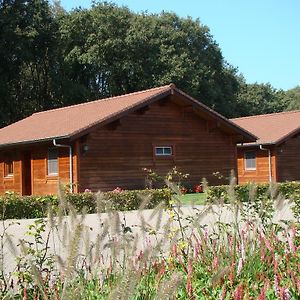 Chalet De Voetpomp Boekel Exterior photo