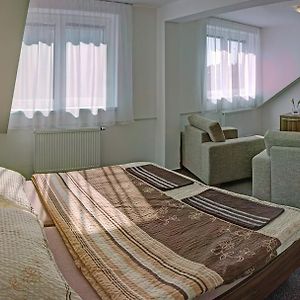 Penzion Na Dlouhe Hotel Uherske Hradiste Room photo