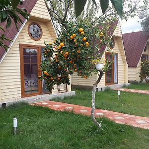 Idavilla Bungalov & Bahce Akcay  Room photo