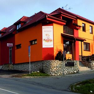 Penzion U Mikulincu Hotel Mikulov Exterior photo