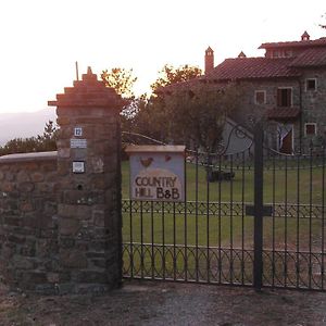 Bed And Breakfast Country Hill Arezzo Exterior photo