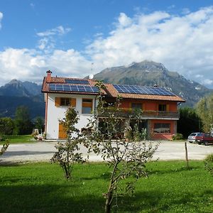 Agriturismo Al Bachero Villa Belluno Exterior photo