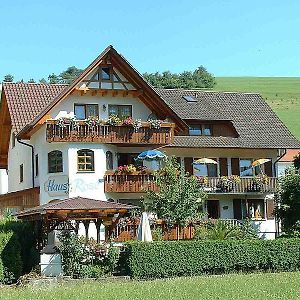 Pension Haus Rose Hotel Oberharmersbach Room photo